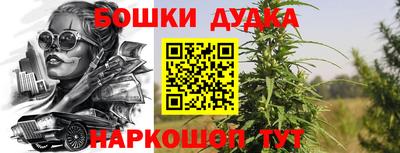 крисы Татарск